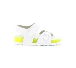 Kickers Shoes Kids