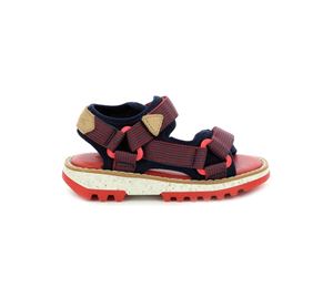 Kickers Shoes Kids