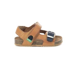 Kickers Shoes Kids