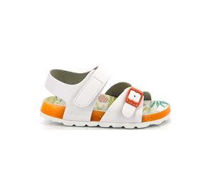 Kickers Shoes Kids